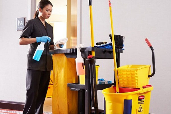 public-area-cleaner